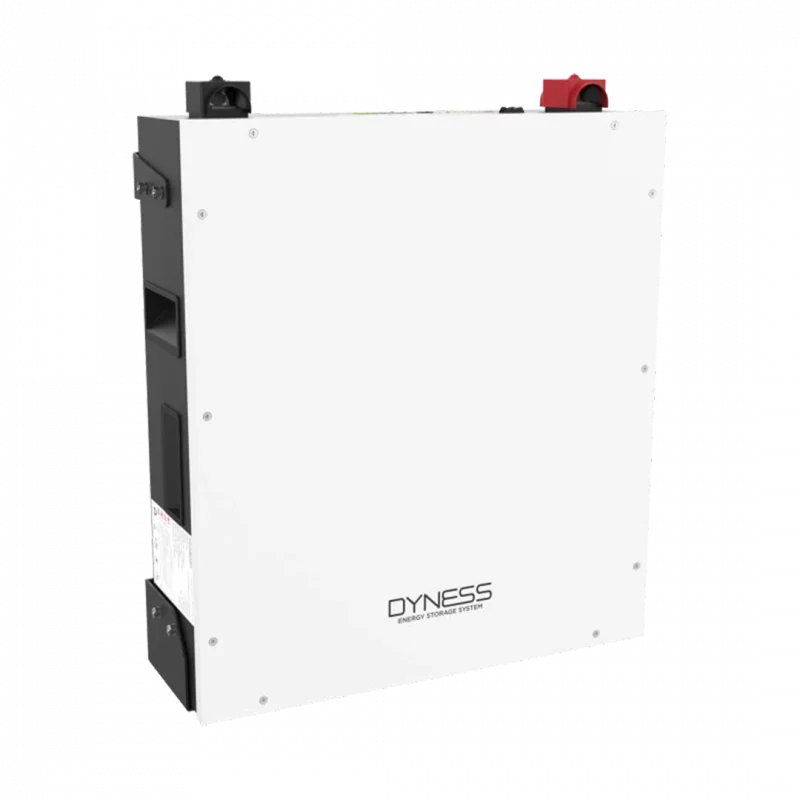 DYNESS A48100 4.8KWH LITHIUM-ION BATTERY WITH BMS